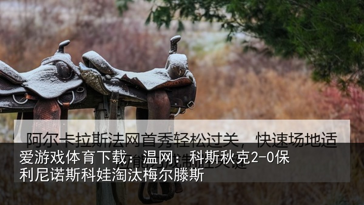 爱游戏体育下载：温网：科斯秋克2-0保利尼诺斯科娃淘汰梅尔滕斯