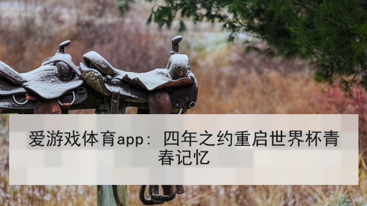 爱游戏体育app: 四年之约重启世界杯青春记忆