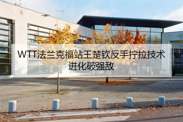 WTT法兰克福站王楚钦反手拧拉技术进化破强敌